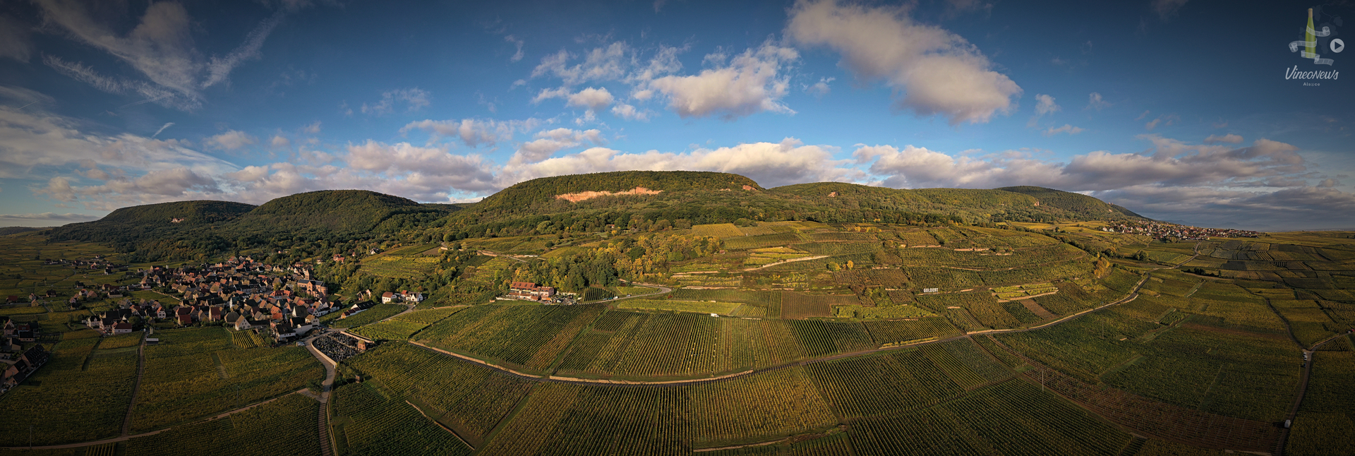 Domaine Xavier Schneider, les vendanges 2019