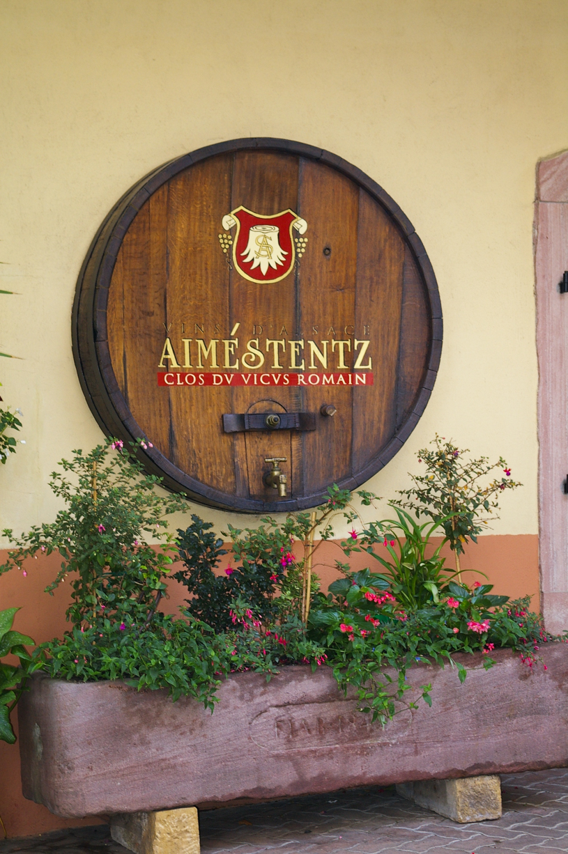 Visite au Domaine Aimé Stentz à Wettolsheim