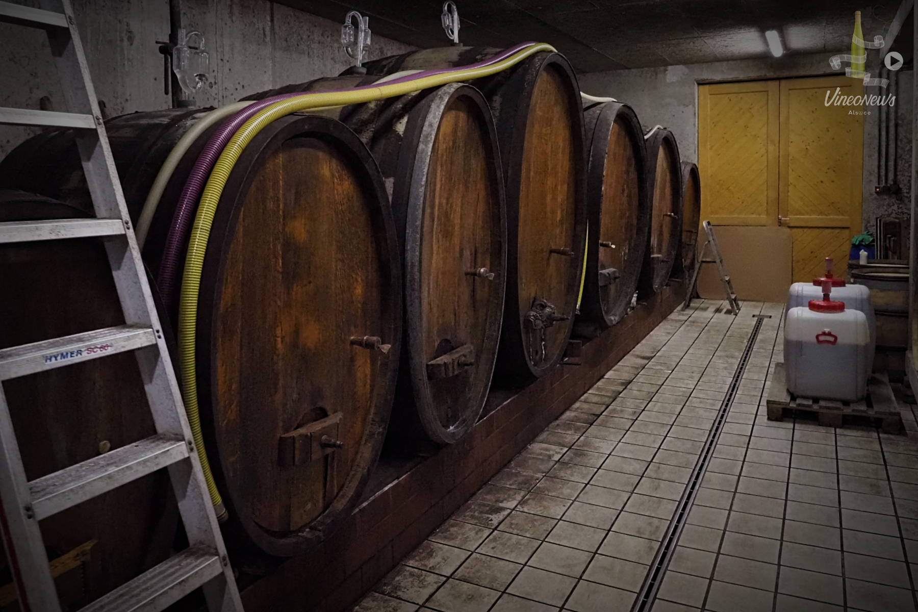 Les Grands Pinots Noirs d’Eguisheim… Domaine Paul Gaschy