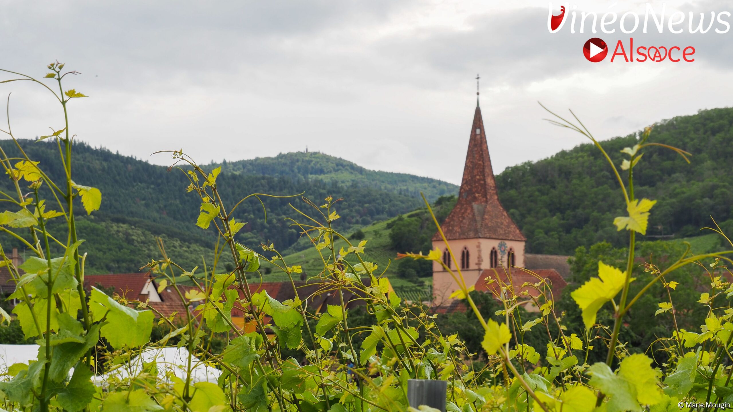 Les Vins d’Alsace à l’honneur à Kientzheim