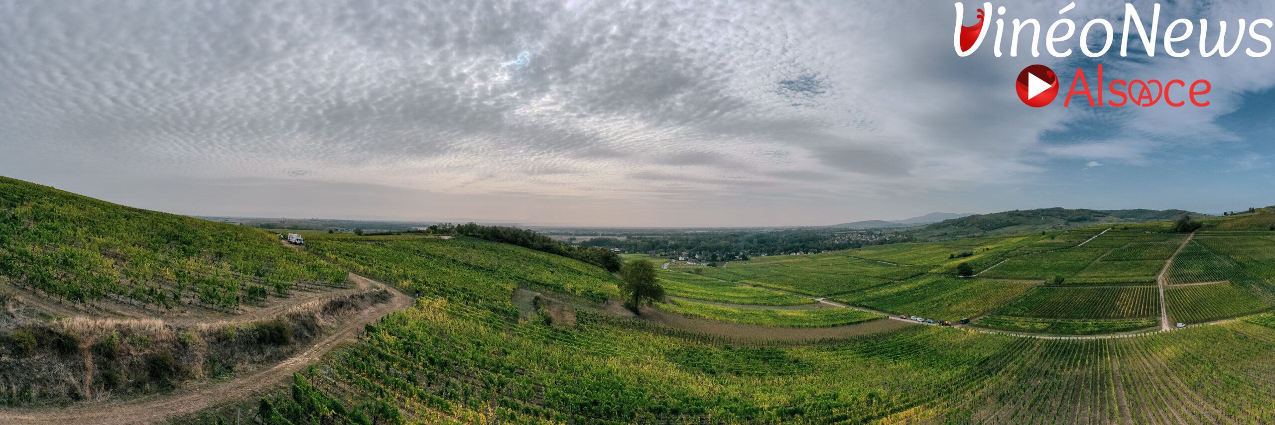 Jeunes talents à l’honneur dans le vignoble alsacien