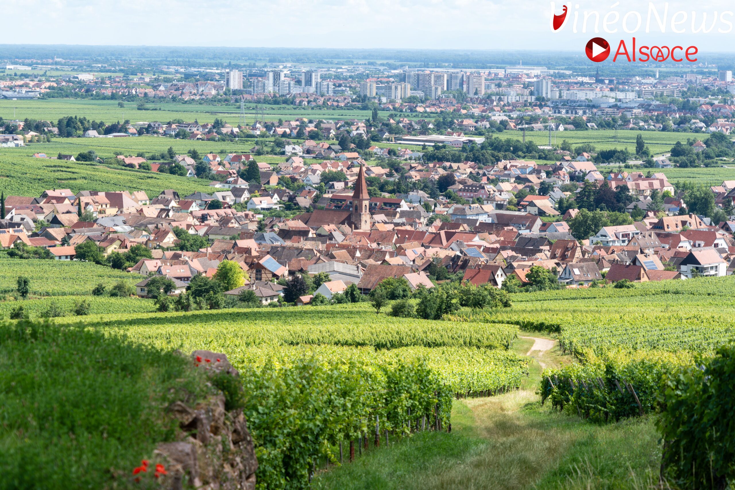 Tournée des Terroirs 2024, une belle évasion à Wettolsheim