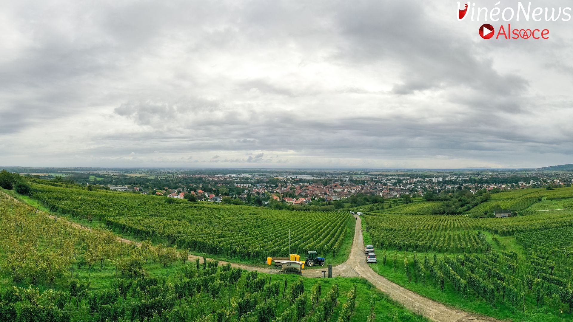 Carnet de vendanges 2024 au Domaine Boehler