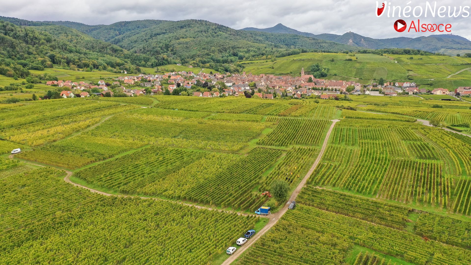 Carnet de vendanges 2024 au Domaine Jean-Luc Bucher