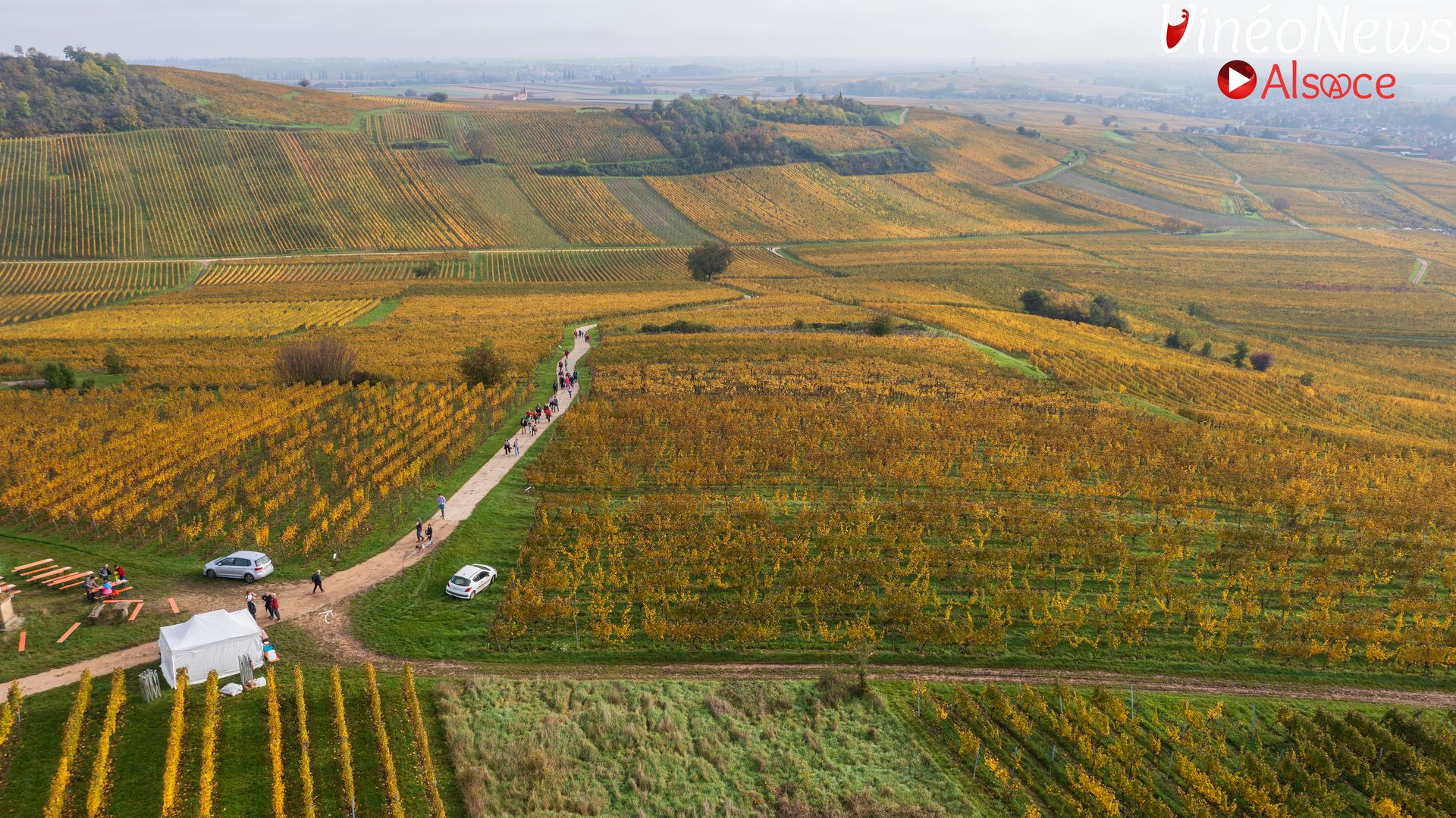 Vignes & Victoire, un événement solidaire au cœur du Domaine Siebert